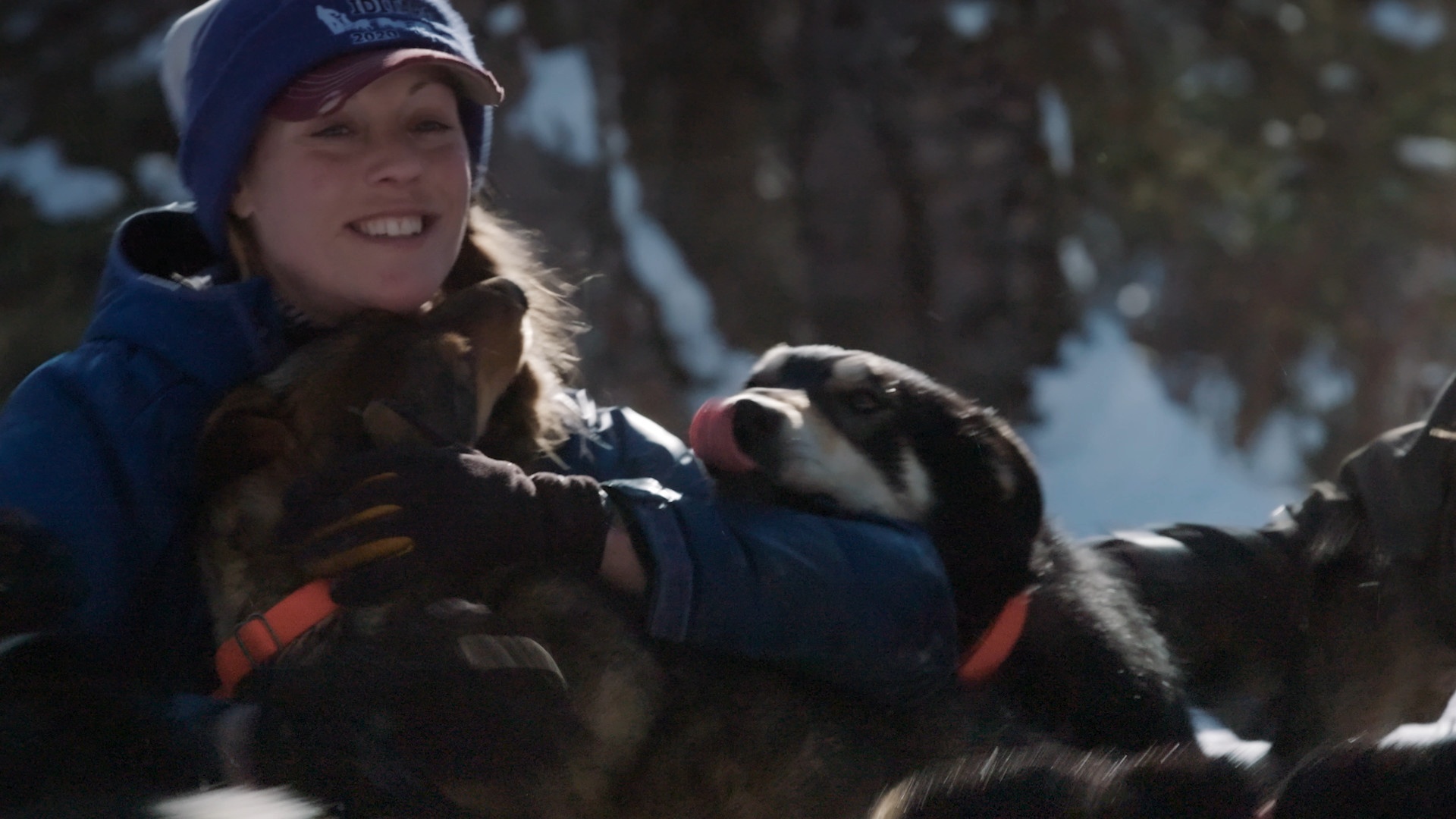 Une vie de chien - Cache-cache avec les loups (2).JPG