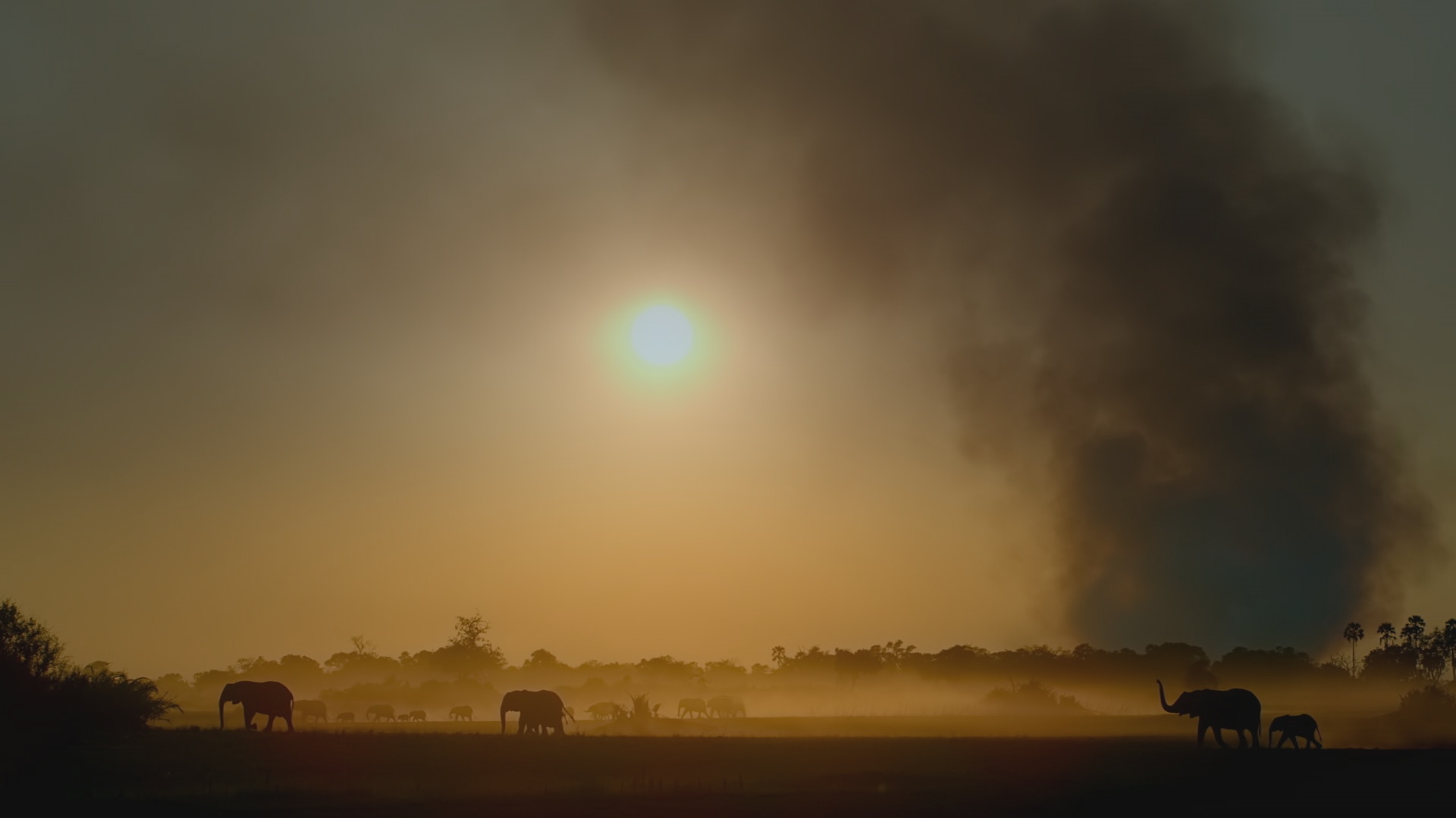 Le royaume sauvage  Envoyés au front (3).JPG