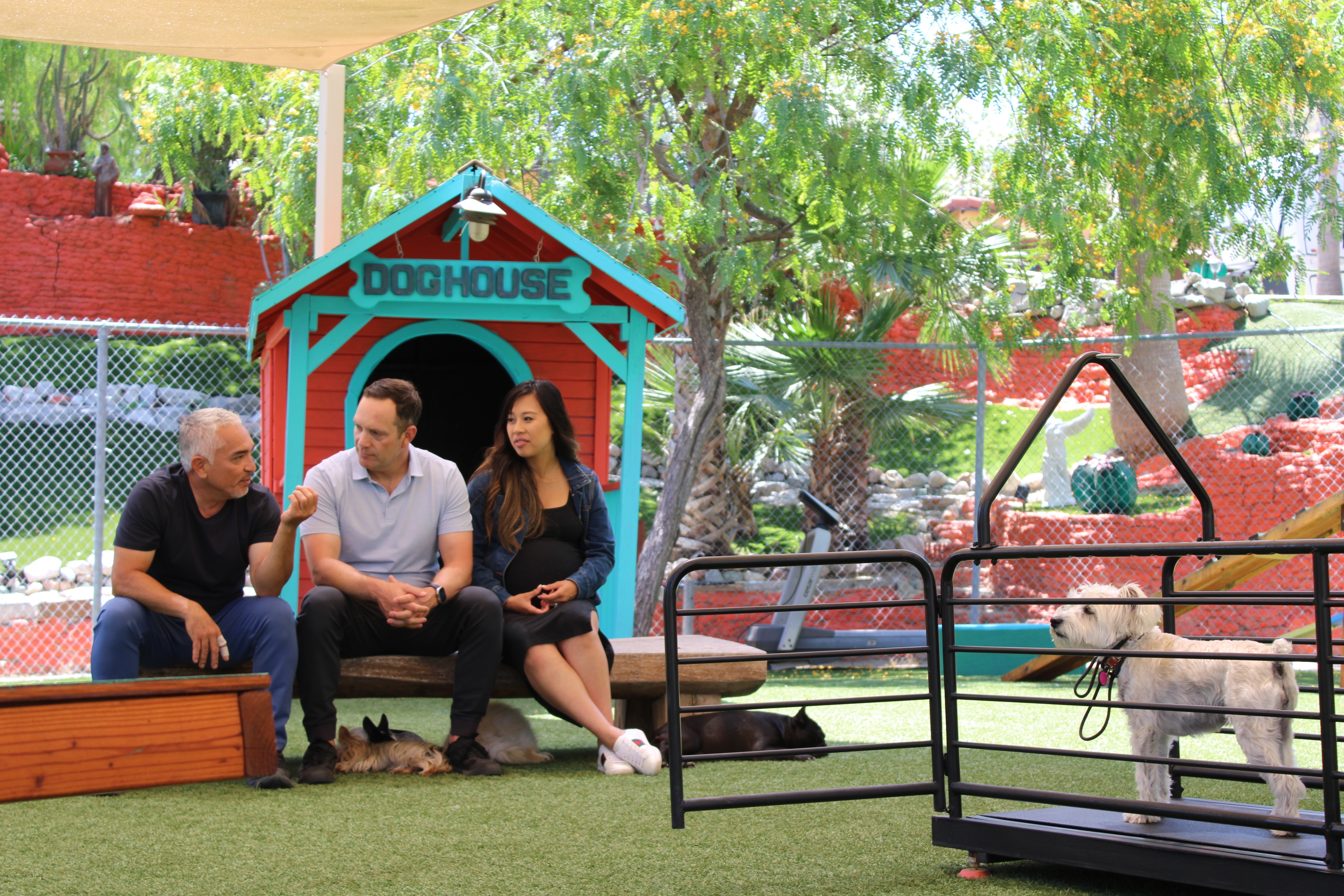 La famille dominée (3).jpg