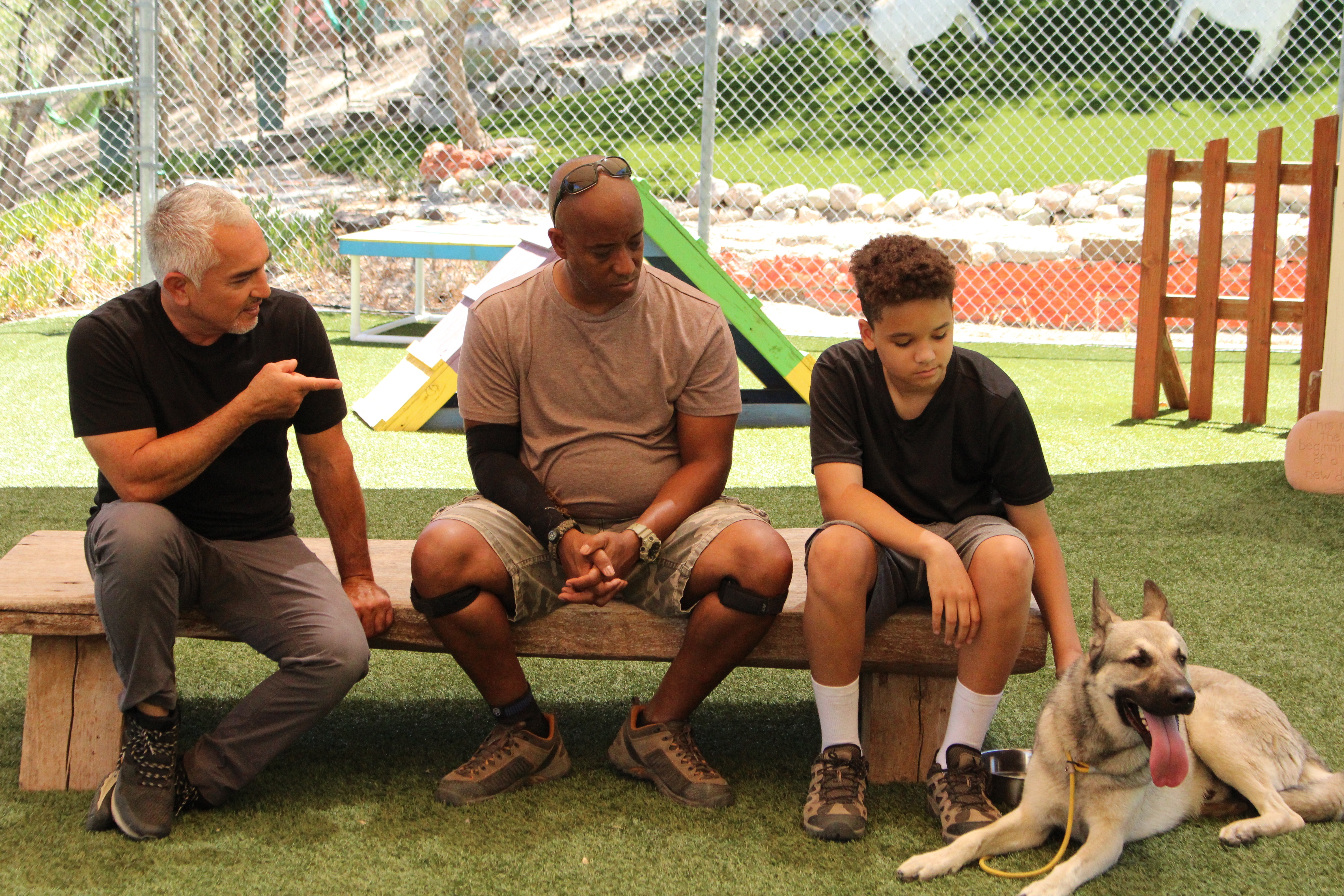 Cesar Millan Better Human Better Dog (1).jpg