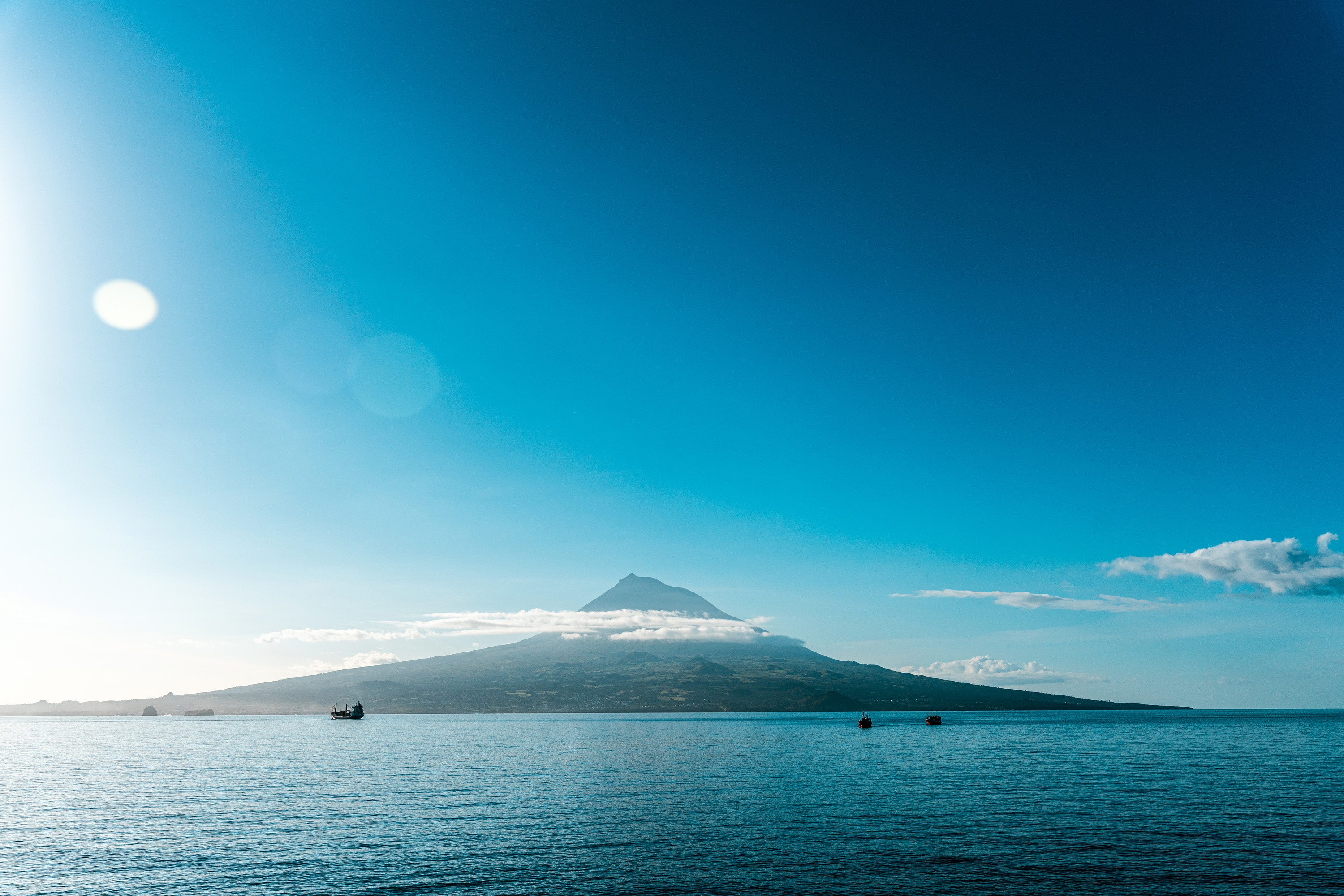 Jurassic Shark 2.jpg