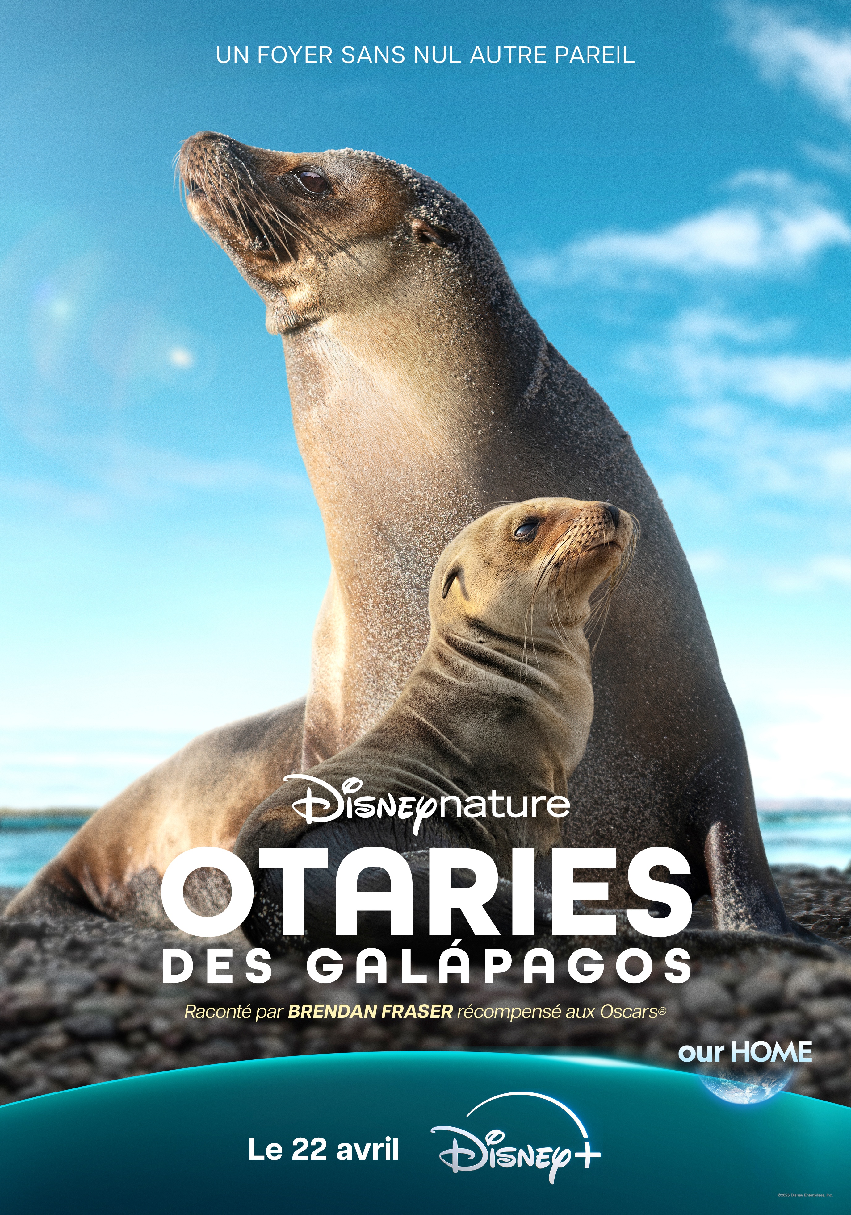key art 70x100.jpg
