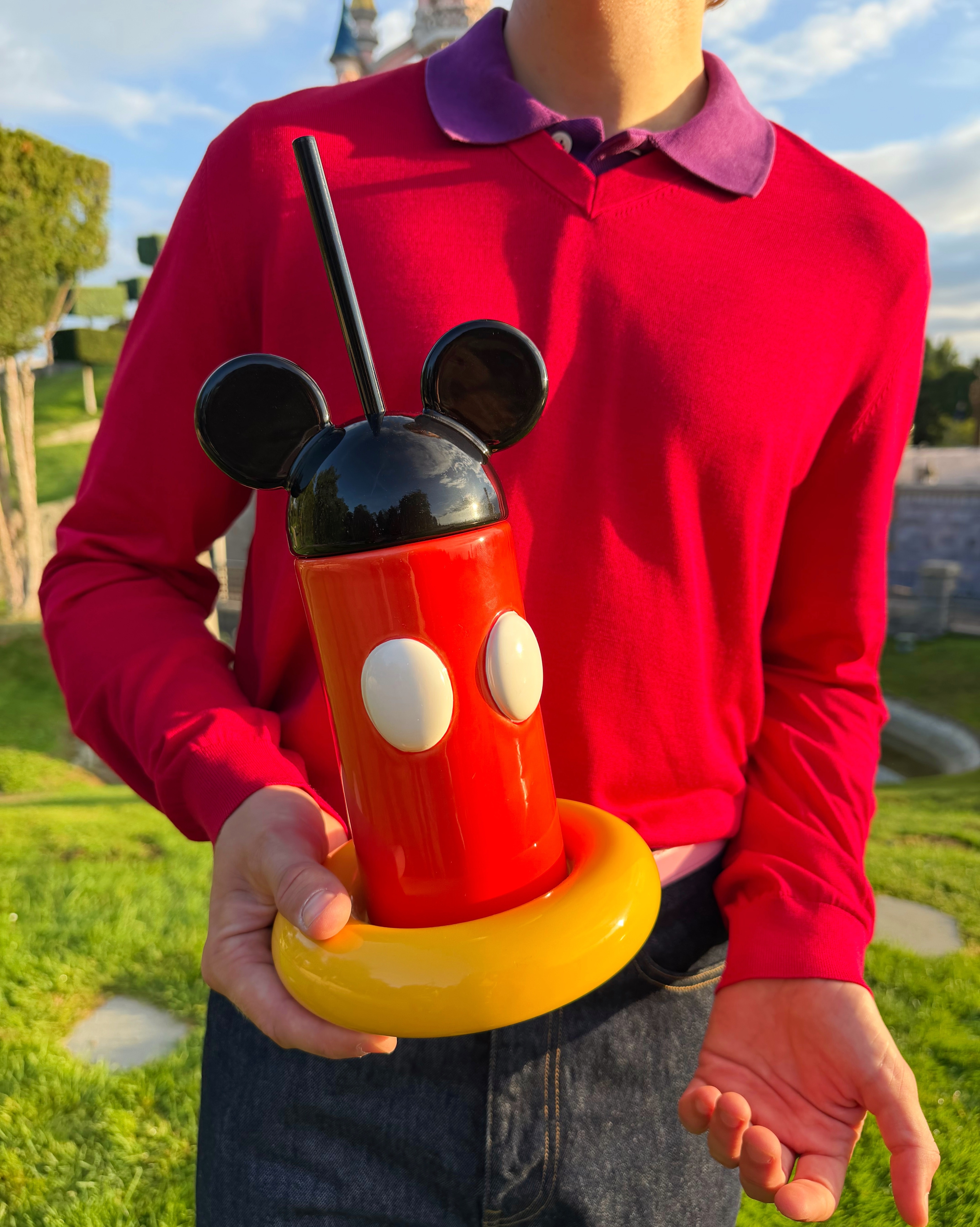 Gustaf Westman at Disneyland Paris with Mickey Tumbler.jpg