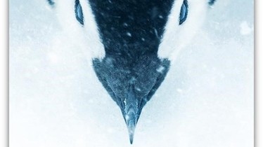 L'APPEL DE L'ANTARCTIQUE le nouveau film de Luc Jacquet se dévoile avec une première affiche