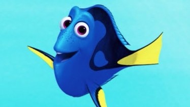 Noël 2016 au cœur du Monde de Dory !