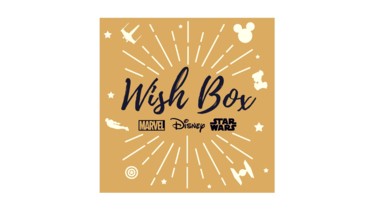 Wish Box Disney : notre sélection de cadeaux pour un Noël réussi !