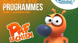 Chaînes Disney : Bulletin des programmes semaine 14