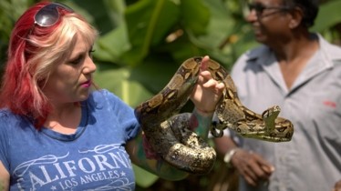 Chaîne National Geographic Wild : Bulletin de programme - Semaine 14