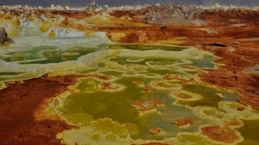 Chaîne National Geographic Wild : Temps forts Juin 2020