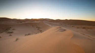 National Geographic Wild met le cap sur l’Afrique et dévoile les beautés de la vie sauvage luxuriante du continent africain avec "Destination Wild : les merveilles de l’Afrique"