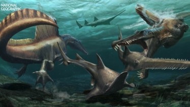 National Geographic.fr - Découverte : le Spinosaurus est le premier dinosaure semi-aquatique confirmé