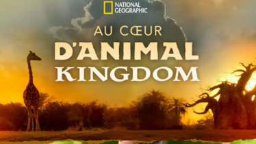Avec Disney+, partez « Au Coeur de Disney's Animal Kingdom » à partir du 25 Septembre