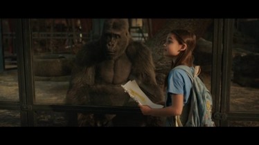 LE SEUL ET UNIQUE IVAN: Découvrez un extrait de ce conte poétique et poignant inspiré d'une histoire vraie - sur Disney+ le 11 septembre