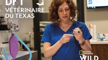 DECOUVREZ DR T, VETERINAIRE DU TEXAS, TOUS LES LUNDIS DES 20H45 SUR  LA CHAINE NATIONAL GEOGRAPHIC WILD