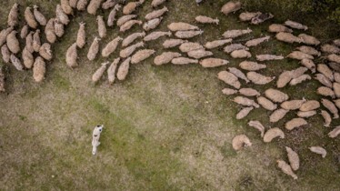 Chaîne National Geographic Wild: Bulletin de programmes - Semaine 46
