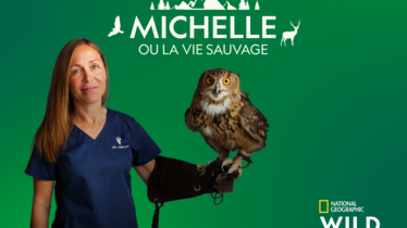 La série à succès "Michelle ou la vie sauvage" de retour sur National Geographic Wild tous les lundis à 20h45 à partir du 16 novembre