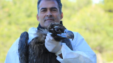 Chaîne National Geographic Wild: Bulletin de programmes - Semaine 48