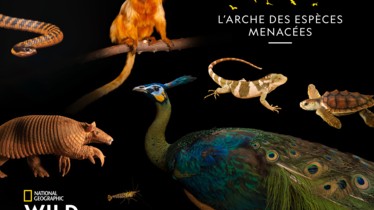 ÉVÈNEMENT « L’ARCHE DES ESPÈCES MENACÉES »  ISSUE DU PROJET DU PHOTOGRAPHE NATIONAL GEOGRAPHIC JOËL SARTORE REVIENT POUR UNE NOUVELLE SAISON LE MERCREDI 9 DÉCEMBRE À PARTIR DE 20H45 SUR LA CHAÎNE NATIONAL GEOGRAPHIC WILD