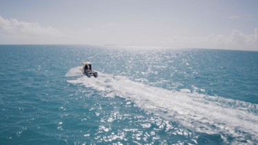 Chaîne National Geographic : Bulletin de programmes - Semaine 52