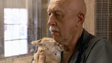 Chaîne National Geographic Wild: Bulletin de programmes - Semaine 10