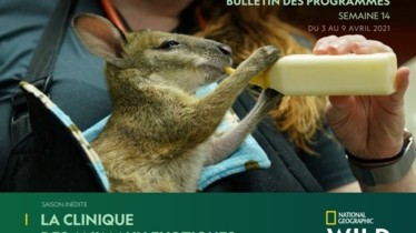 Chaîne National Geographic Wild: Bulletin de programmes - Semaine 14