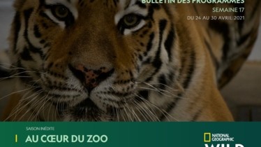 Chaîne National Geographic Wild - Bulletin des programmes semaine 17