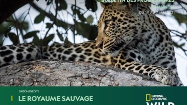 Chaîne National Geographic Wild - Bulletin des programmes semaine 18