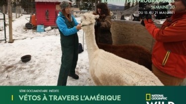 Chaîne National Geographic Wild - Bulletin des programmes semaine 20