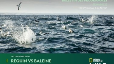 Chaîne National Geographic Wild - Bulletin des programmes semaine 22