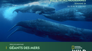 Chaîne National Geographic Wild - Bulletin des programmes semaine 24
