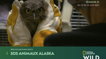 Chaîne National Geographic Wild - Bulletin des programmes semaine 25