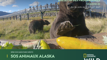 Chaîne National Geographic Wild - Bulletin des programmes semaine 26