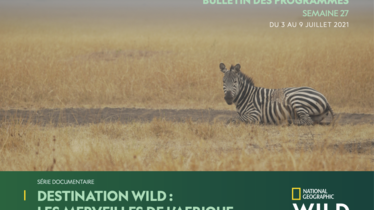 Chaîne National Geographic Wild - Bulletin des programmes semaine 27