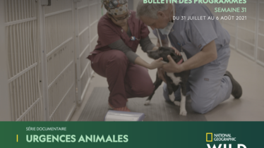 Chaîne National Geographic Wild - Bulletin des programmes semaine 31