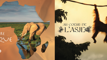 La chaîne National Geographic Wild vous fait découvrir des extraits de sa programmation spéciale Afrique et Asie