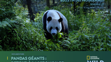 Chaîne National Geographic Wild - Bulletin des programmes semaine 33