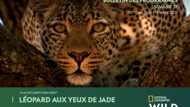 Chaîne National Geographic Wild - Bulletin des programmes semaine 37