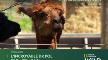 Chaîne National Geographic Wild - Bulletin des programmes semaine 41