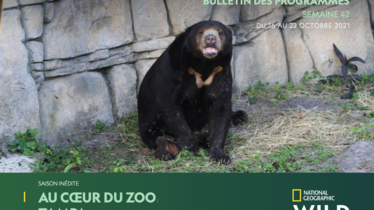 Chaîne National Geographic Wild - Bulletin des programmes semaine 42