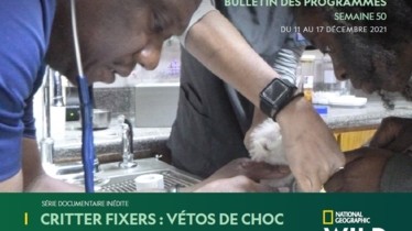 Chaîne National Geographic Wild - Bulletin des programmes semaine 50 ( 11 au 17 décembre)