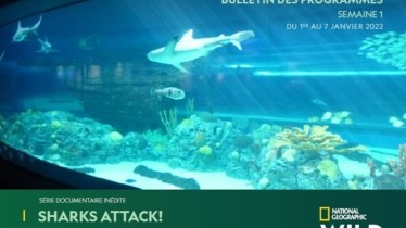 Chaîne National Geographic Wild - Bulletin des programmes semaine 1 - du 1er au 7 janvier