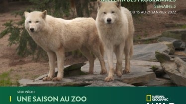 Chaîne National Geographic Wild - Bulletin des programmes semaine 3 - du 15 au 21 janvier