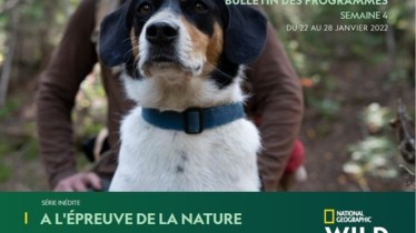 Chaîne National Geographic Wild - Bulletin des programmes semaine 4 - du 22 au 28 janvier