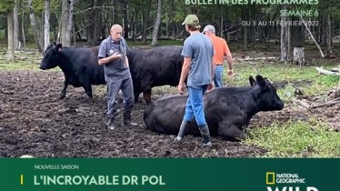 Chaîne National Geographic Wild - Bulletin des programmes semaine 6 - du 5 au 11 février