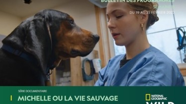 Chaîne National Geographic Wild - Bulletin des programmes semaine 8 - du 19 au 25 février