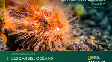 Chaîne National Geographic Wild - Bulletin des programmes semaine 10 - du 5 au 11 mars