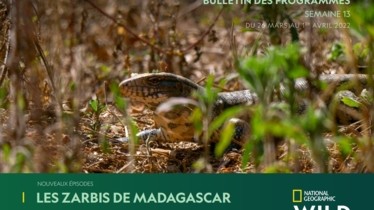 Chaîne National Geographic Wild - Bulletin des programmes semaine 13 - du 26 mars au 1er avril