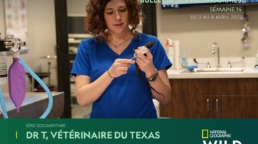 Chaîne National Geographic Wild - Bulletin des programmes semaine 14 - du 2 au 8 avril