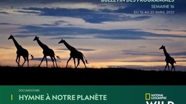 Chaîne National Geographic Wild - Bulletin des programmes semaine 16 - du 16 au 22 avril