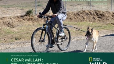Chaîne National Geographic Wild - Bulletin des programmes semaine 26 - du 25 juin au 1 juillet